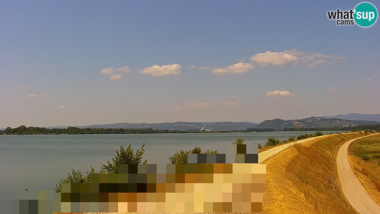 Webcam en direct Lac Brežice sur la rivière Sava – Slovénie