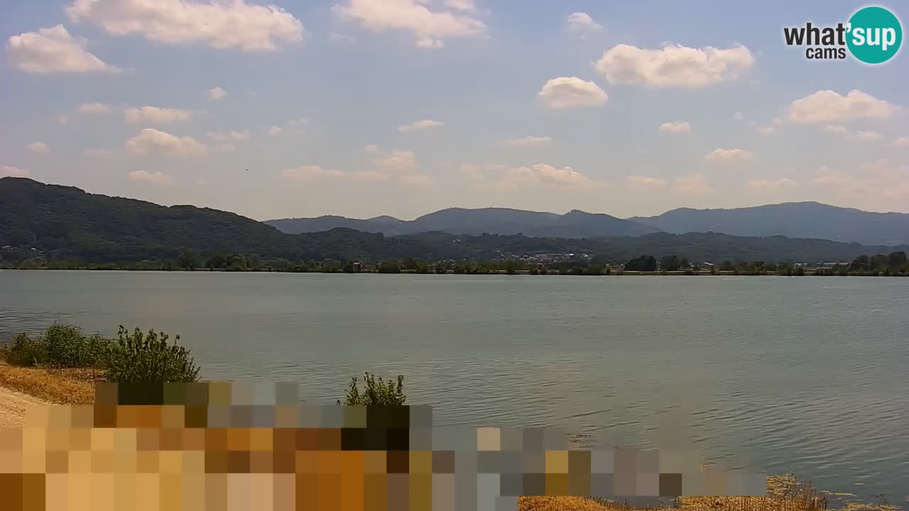 Webcam en vivo lago Brežice en el río Sava – Eslovenia