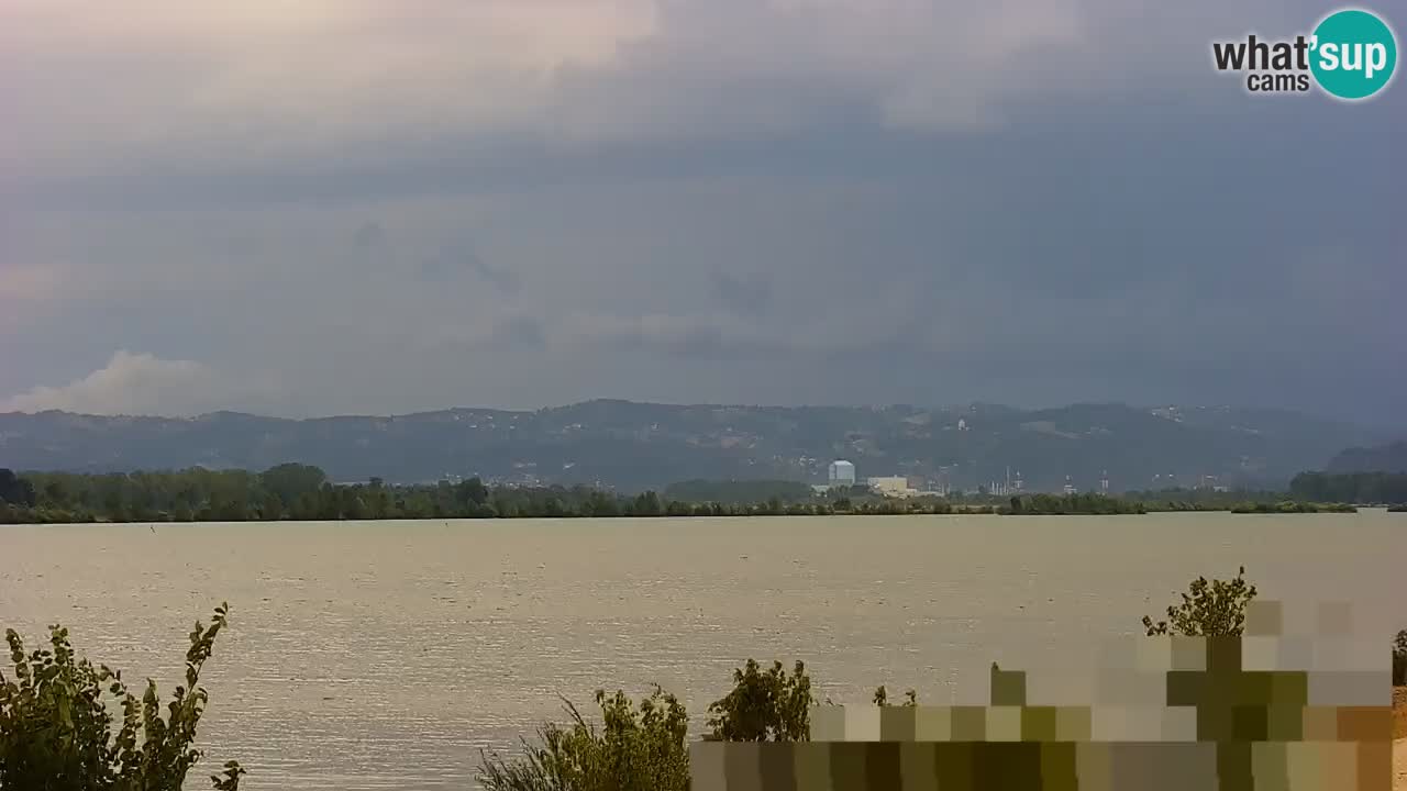 Spletna kamera v živo Brežiško jezero na reki Savi – Slovenija