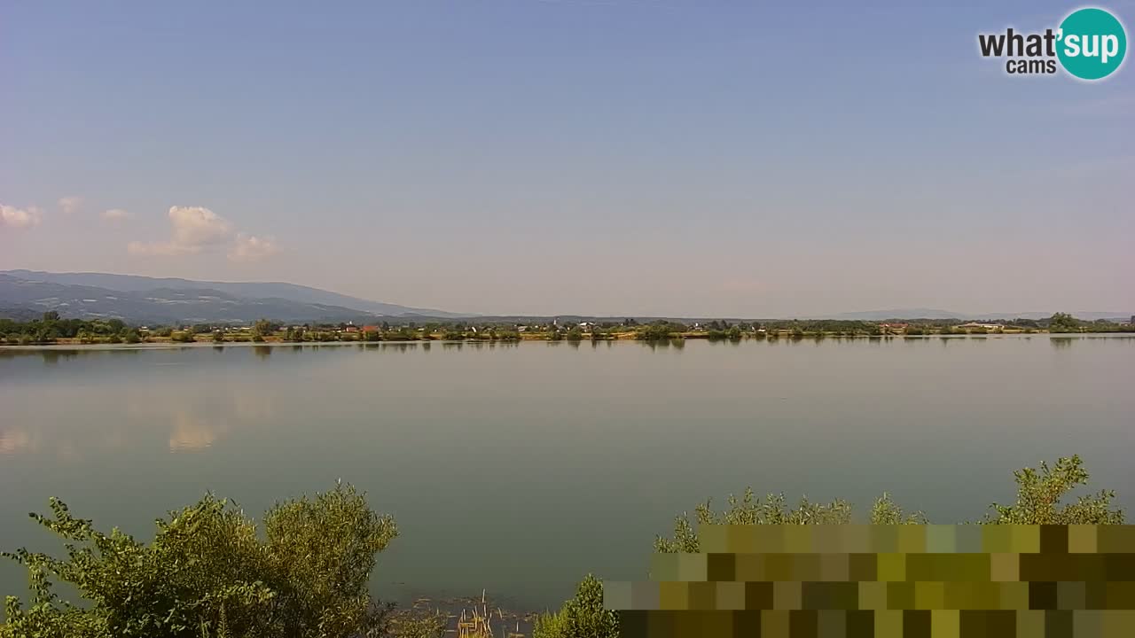 Live Webcam Lago di Brežice sul fiume Sava – Slovenia