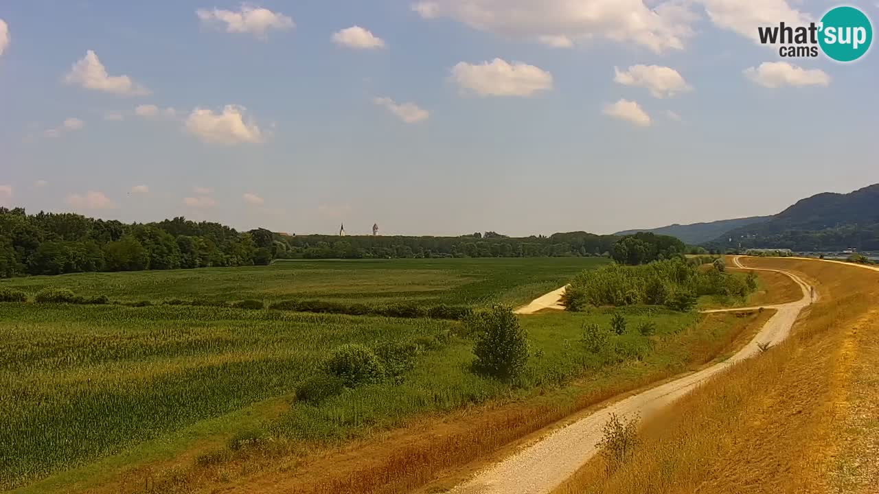 Live Webcam Brežice See am Fluss Sava – Slowenien