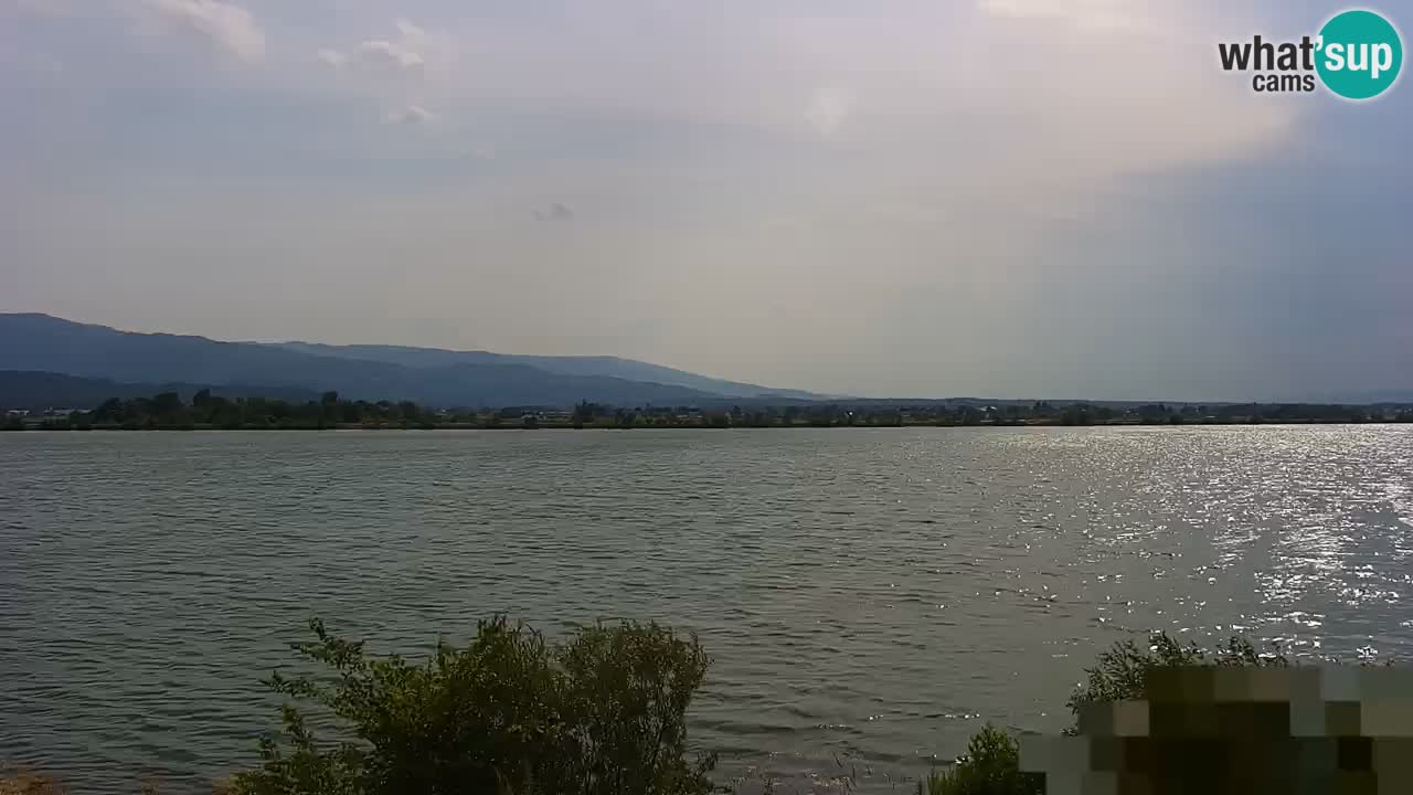 Spletna kamera v živo Brežiško jezero na reki Savi – Slovenija