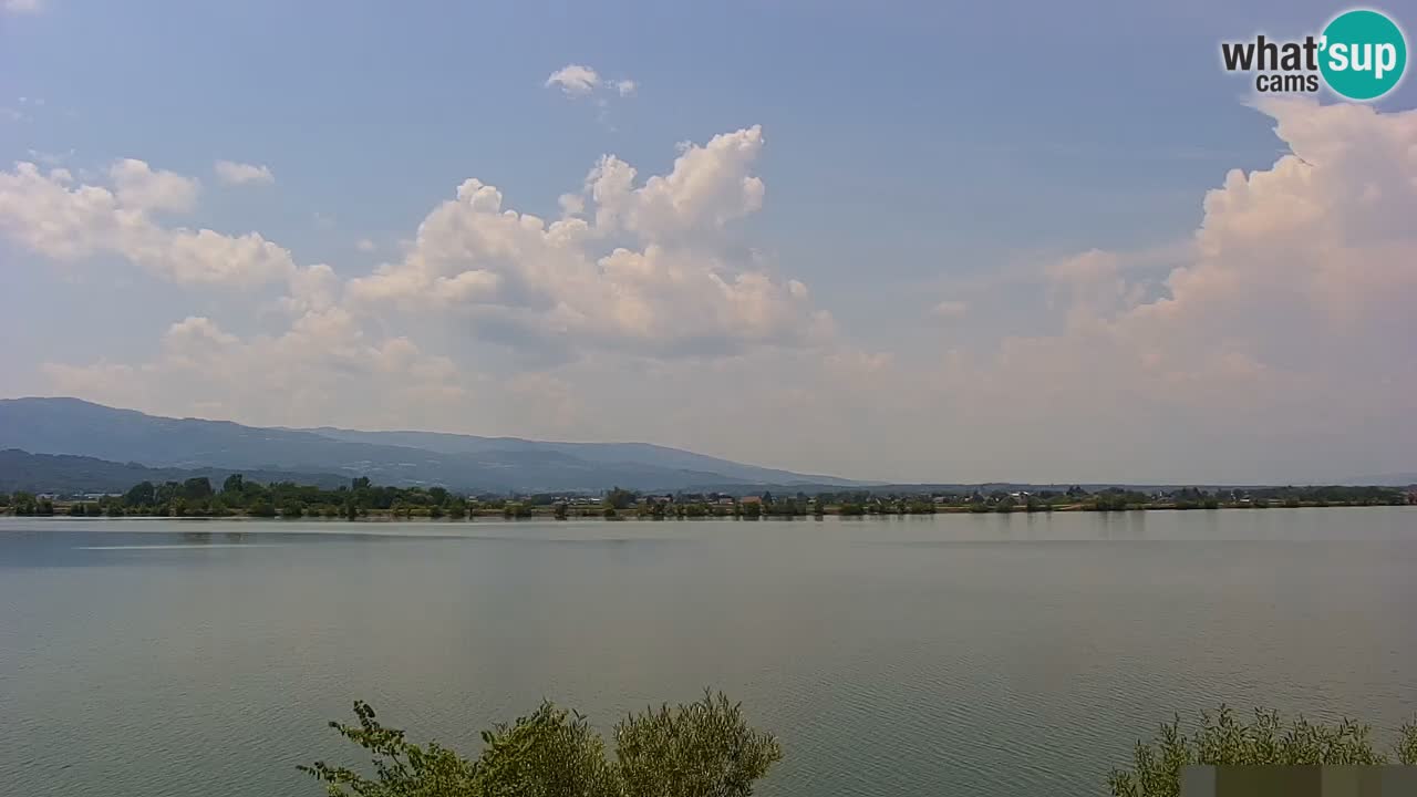 Live Webcam Brežice See am Fluss Sava – Slowenien