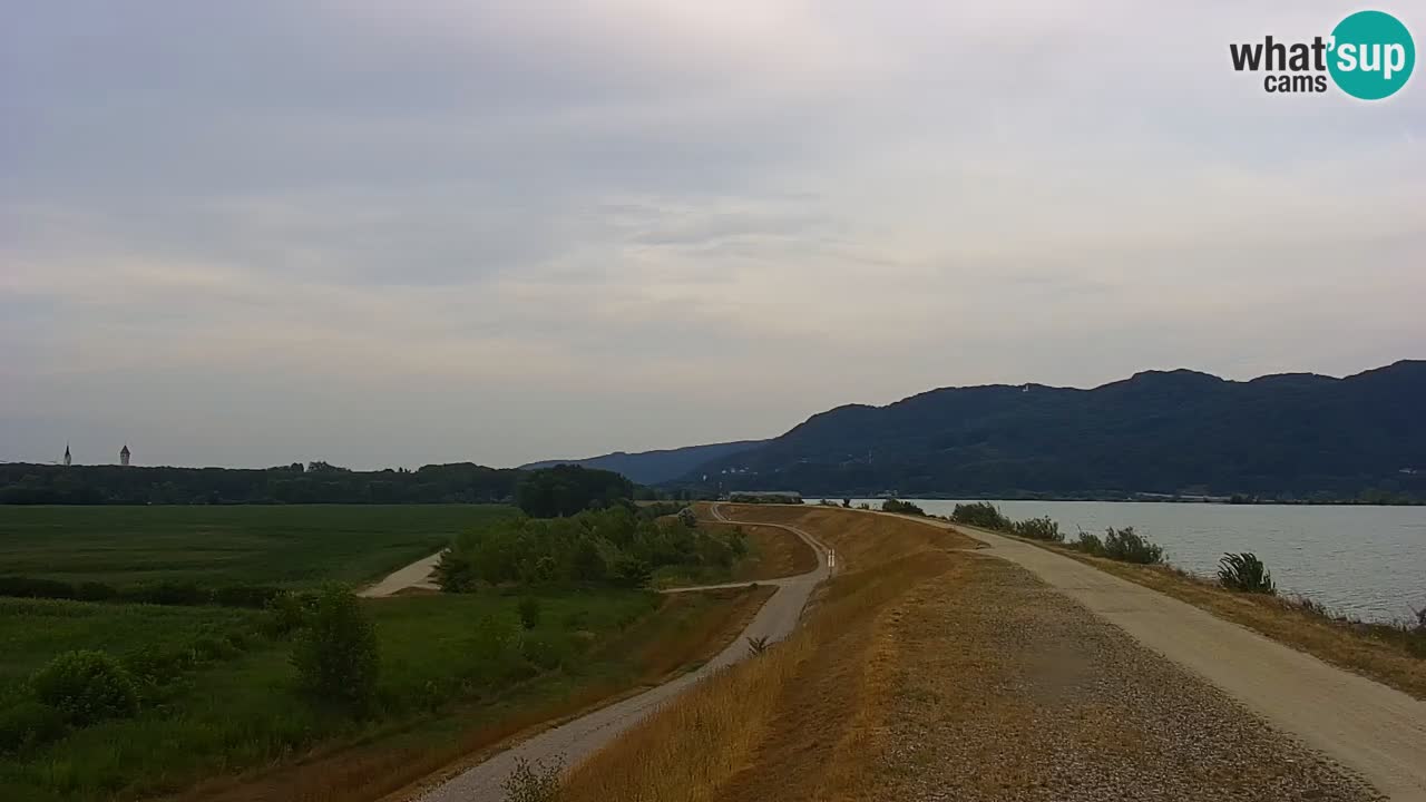 Live Webcam Brežice See am Fluss Sava – Slowenien
