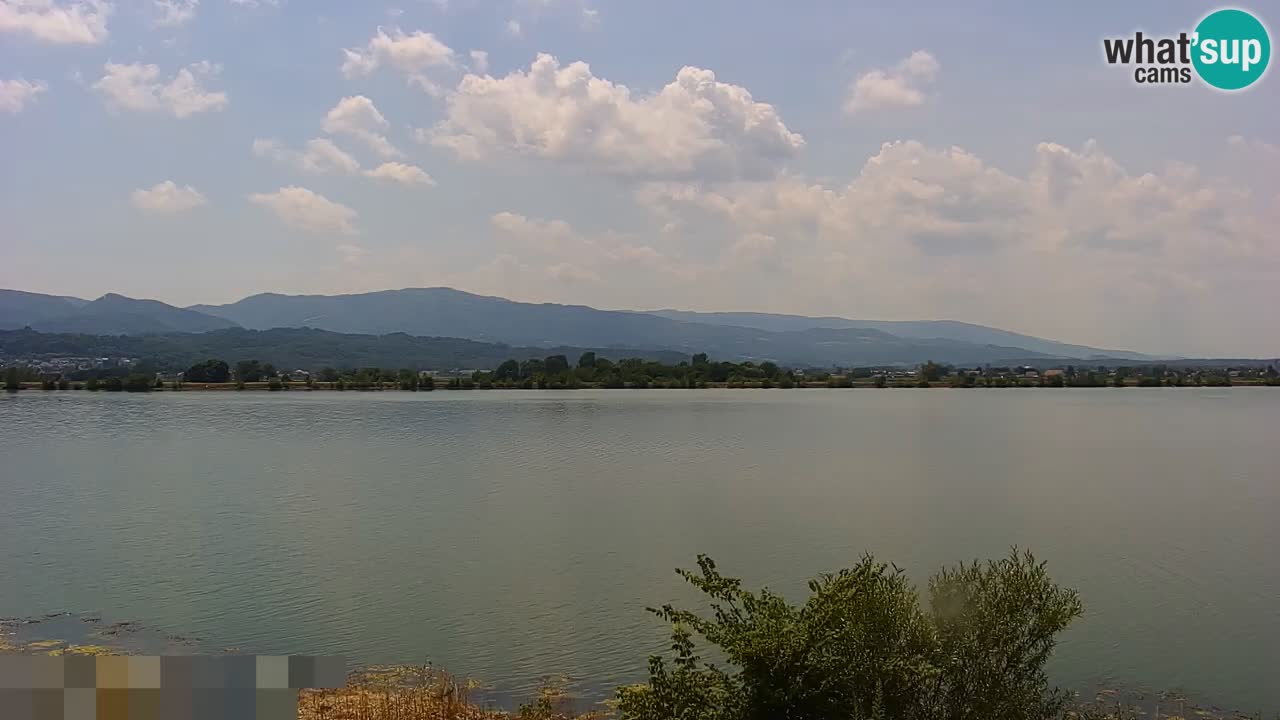 Webcam en vivo lago Brežice en el río Sava – Eslovenia