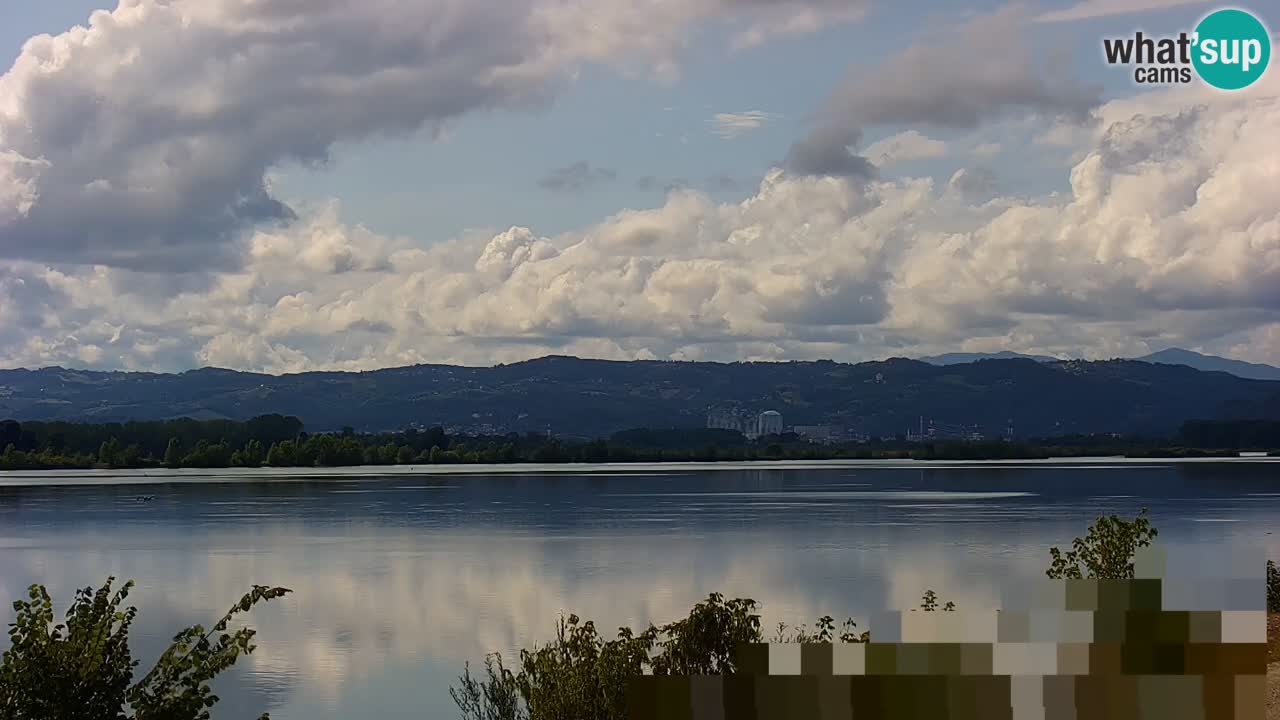 Web kamera uživo Jezero Brežice na rijeci Savi – Slovenija