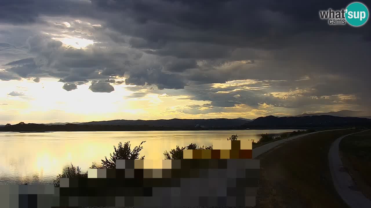 Live Webcam Lago di Brežice sul fiume Sava – Slovenia