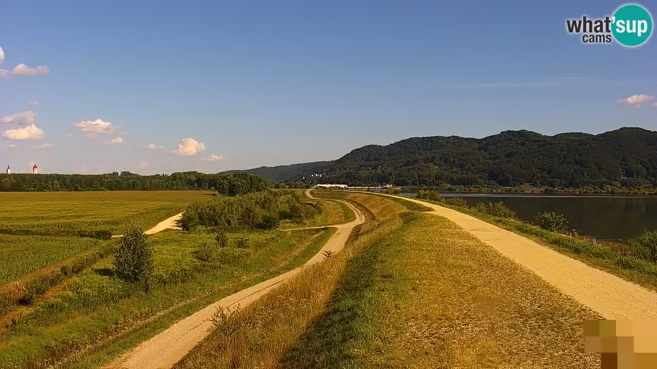 Webcam en vivo lago Brežice en el río Sava – Eslovenia