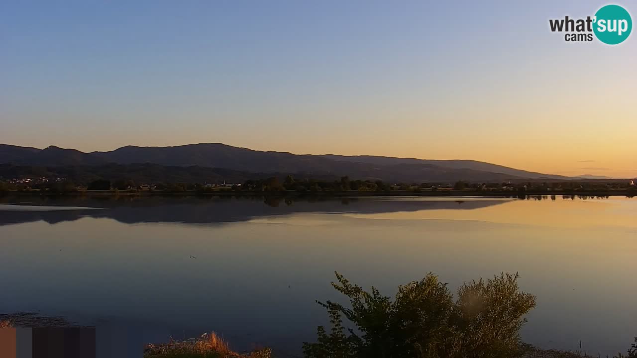 Live Webcam Brežice lake on Sava river – Slovenia