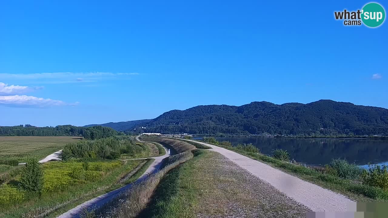 Webcam en vivo lago Brežice en el río Sava – Eslovenia