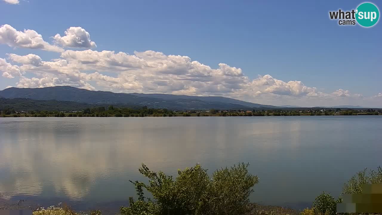 Webcam en vivo lago Brežice en el río Sava – Eslovenia