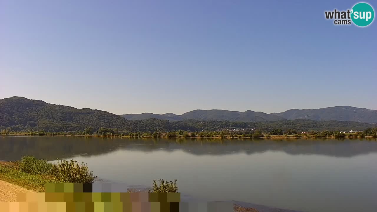 Spletna kamera v živo Brežiško jezero na reki Savi – Slovenija
