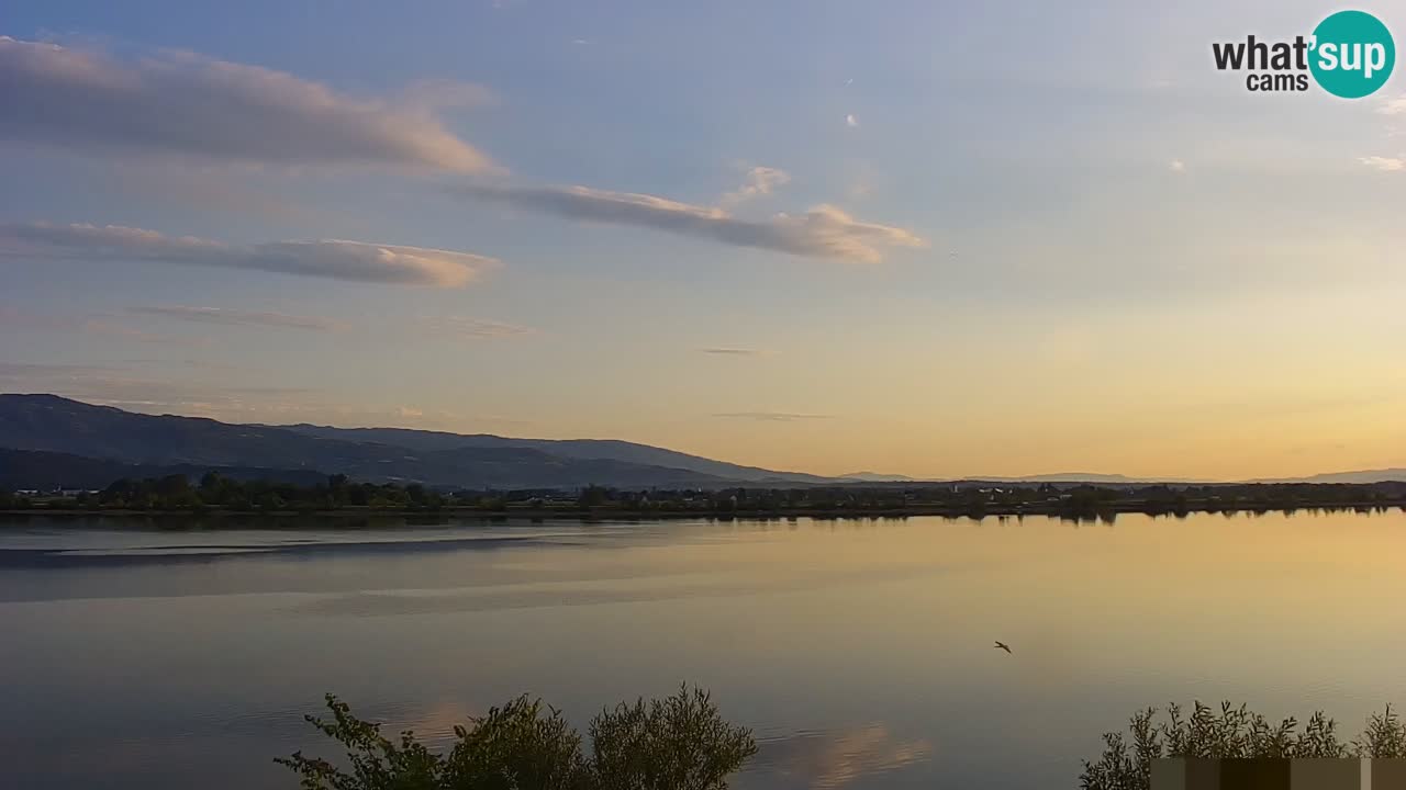 Spletna kamera v živo Brežiško jezero na reki Savi – Slovenija