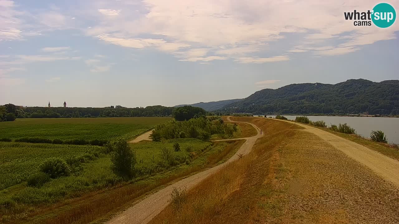 Web kamera uživo Jezero Brežice na rijeci Savi – Slovenija