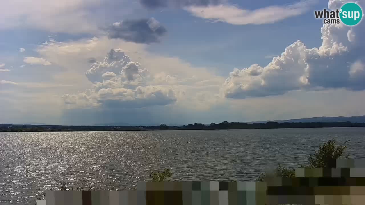 Live Webcam Brežice See am Fluss Sava – Slowenien