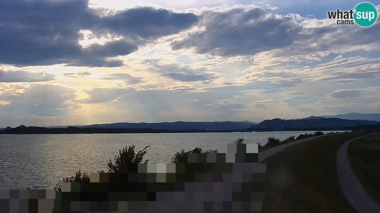 Webcam en direct Lac Brežice sur la rivière Sava – Slovénie