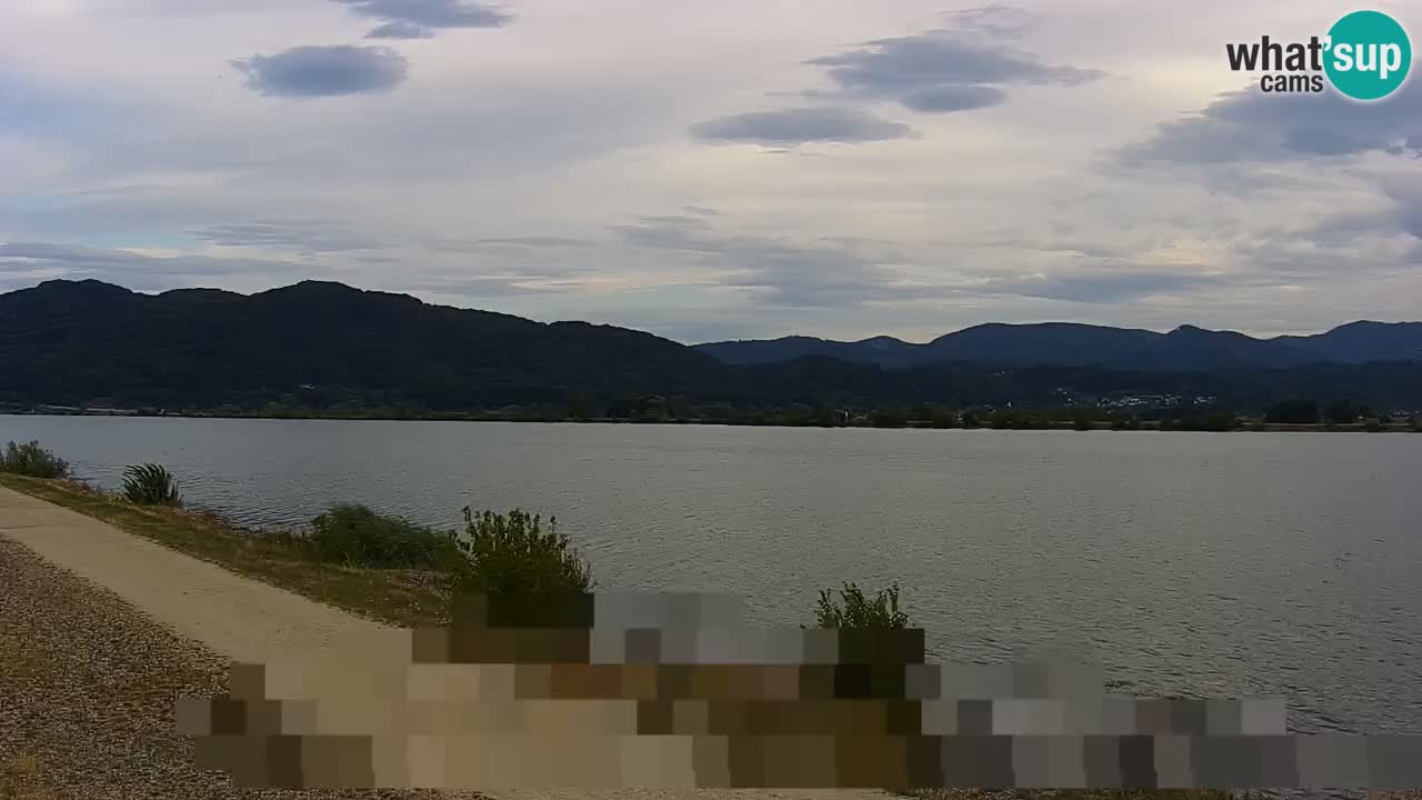 Webcam en direct Lac Brežice sur la rivière Sava – Slovénie