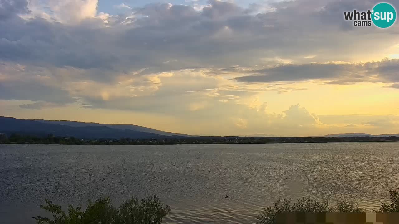 Live Webcam Lago di Brežice sul fiume Sava – Slovenia