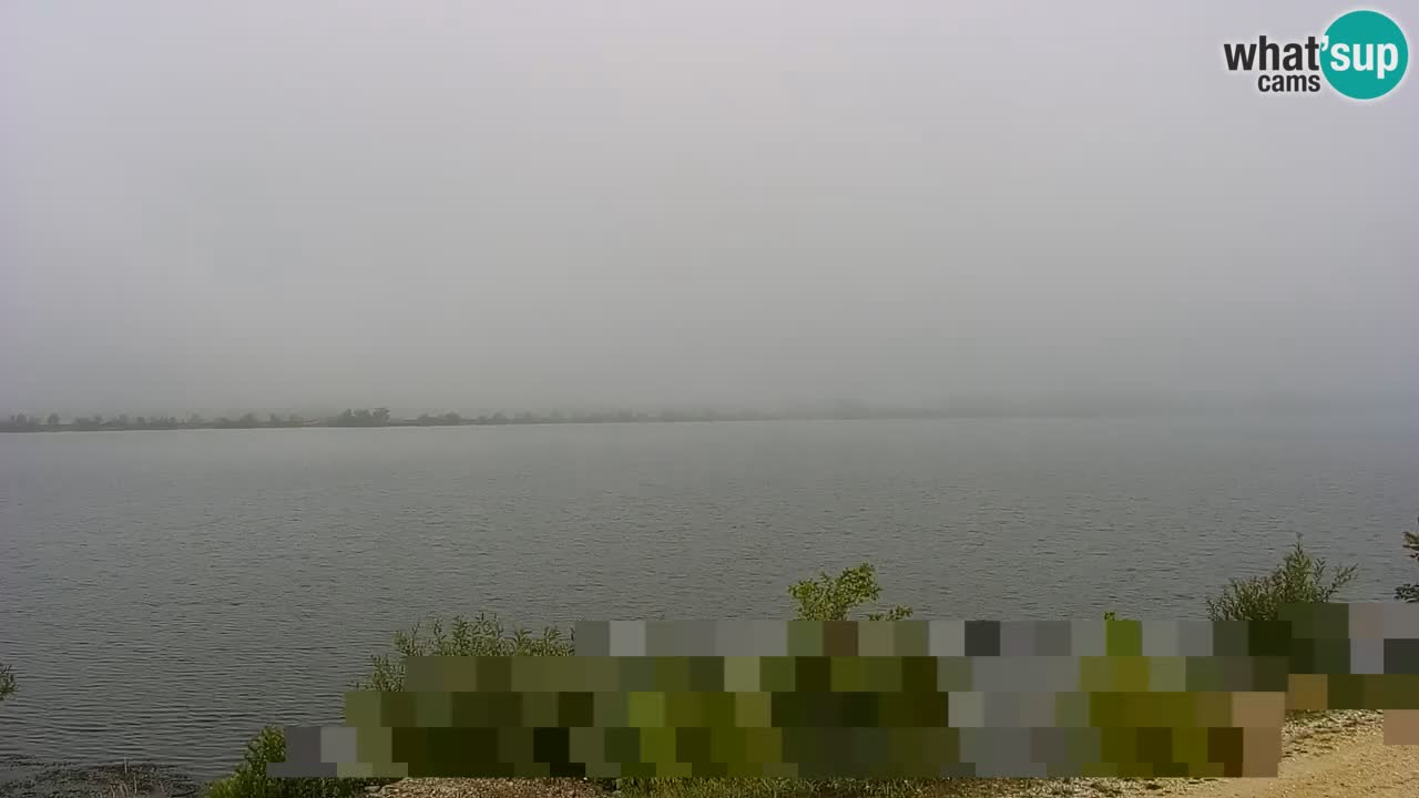 Live Webcam Brežice lake on Sava river – Slovenia