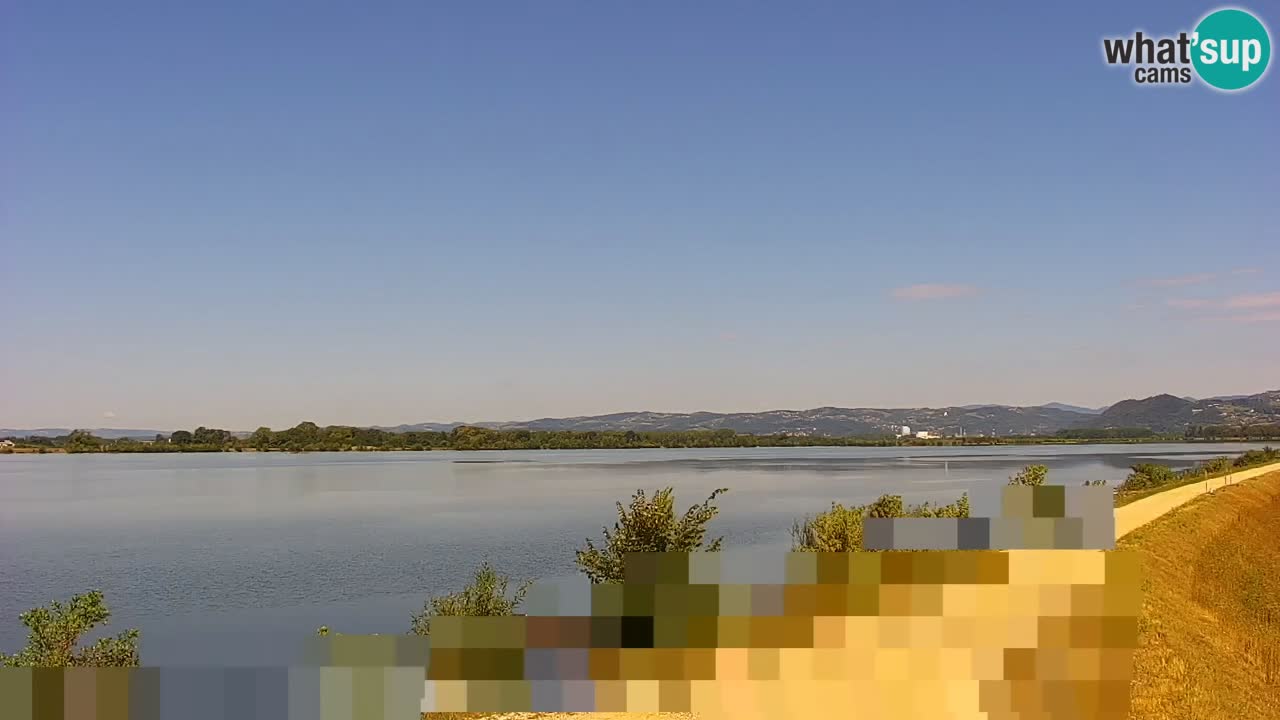 Spletna kamera v živo Brežiško jezero na reki Savi – Slovenija