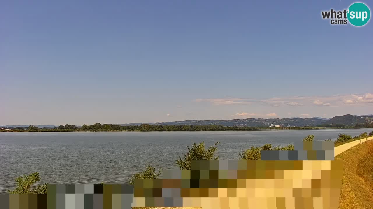 Live Webcam Brežice lake on Sava river – Slovenia