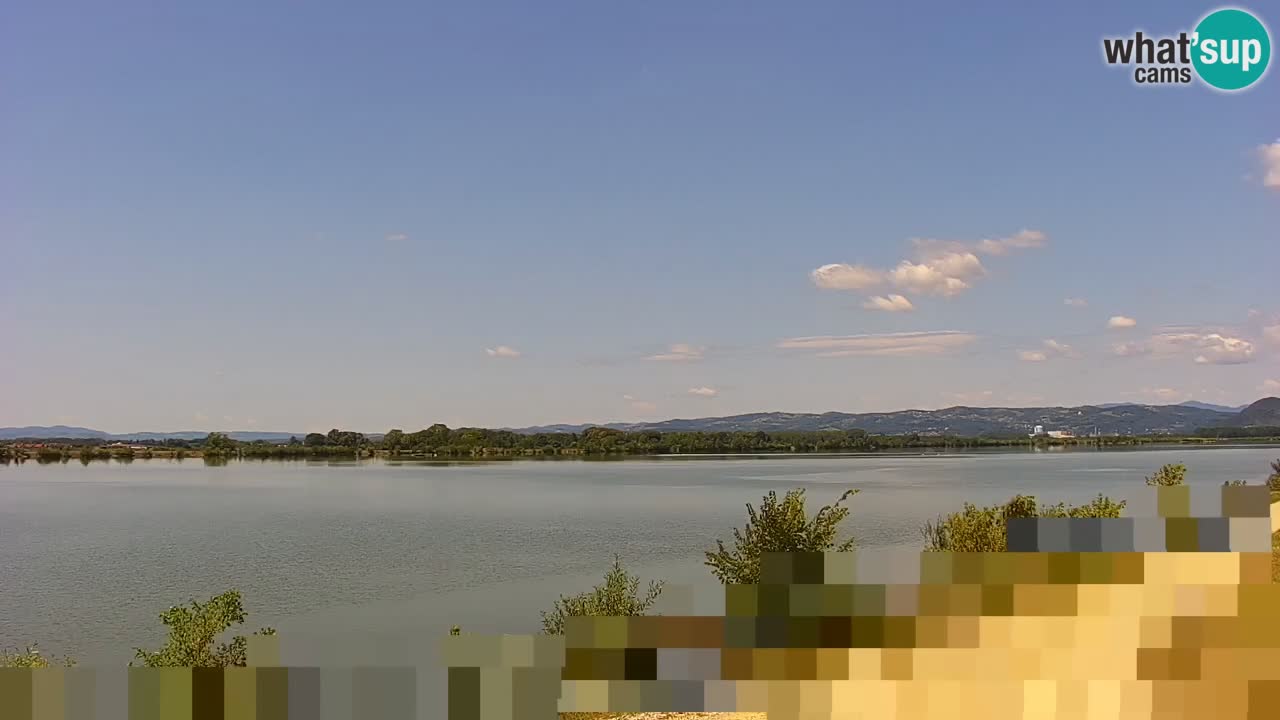 Web kamera uživo Jezero Brežice na rijeci Savi – Slovenija