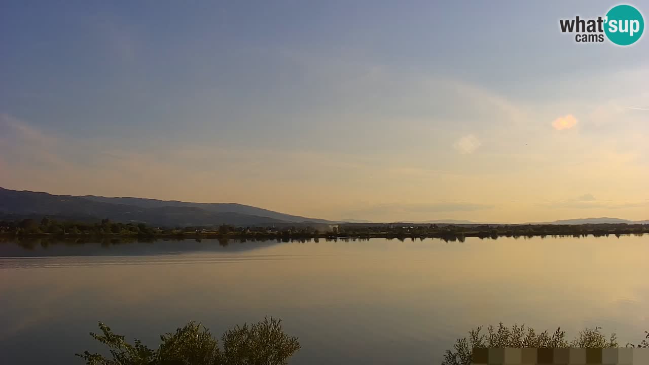 Web kamera uživo Jezero Brežice na rijeci Savi – Slovenija
