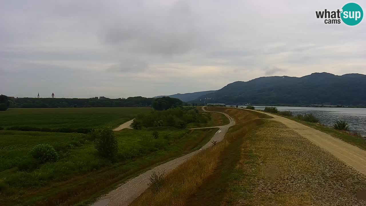 Web kamera uživo Jezero Brežice na rijeci Savi – Slovenija