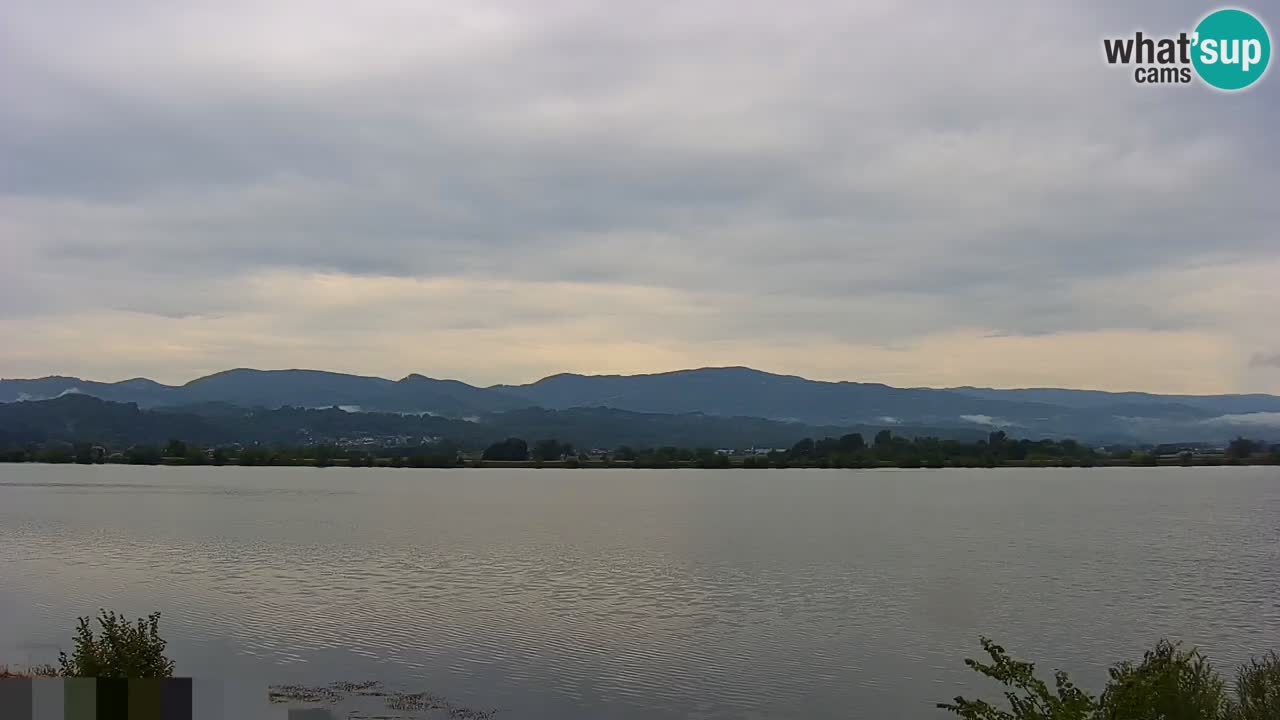 Live Webcam Brežice lake on Sava river – Slovenia