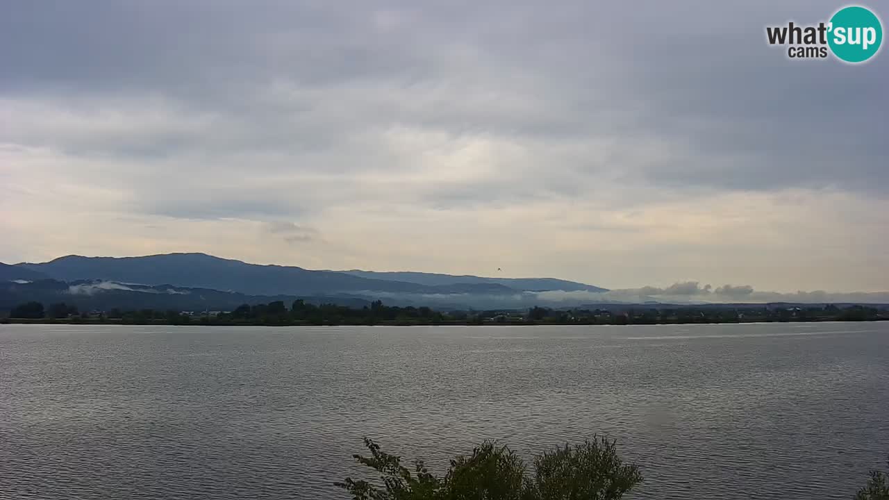 Webcam en vivo lago Brežice en el río Sava – Eslovenia