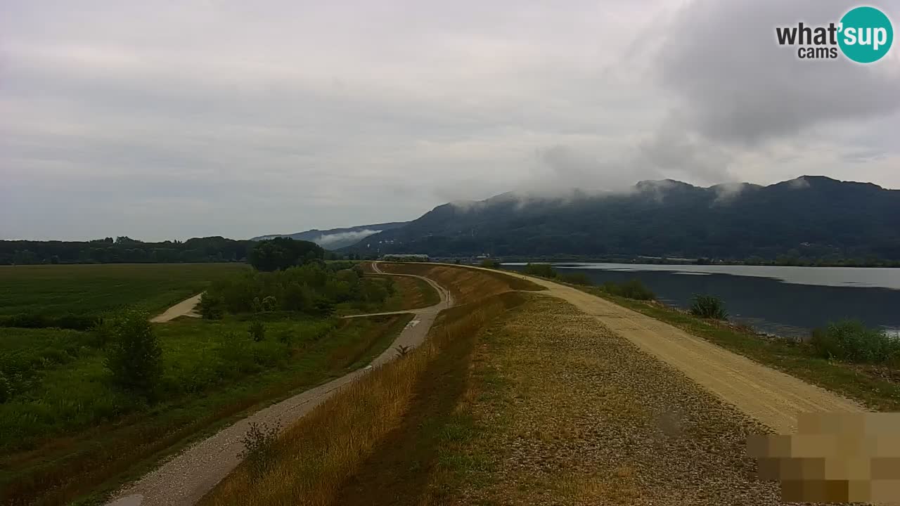 Webcam en direct Lac Brežice sur la rivière Sava – Slovénie
