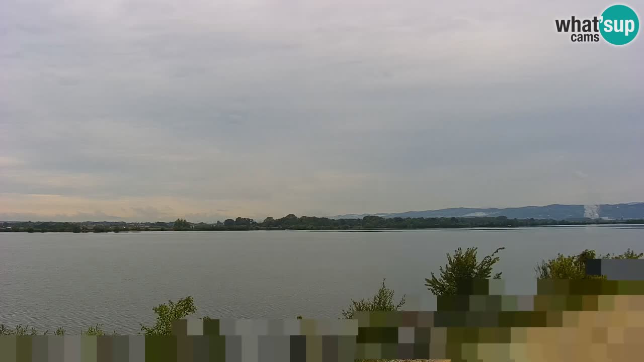 Spletna kamera v živo Brežiško jezero na reki Savi – Slovenija
