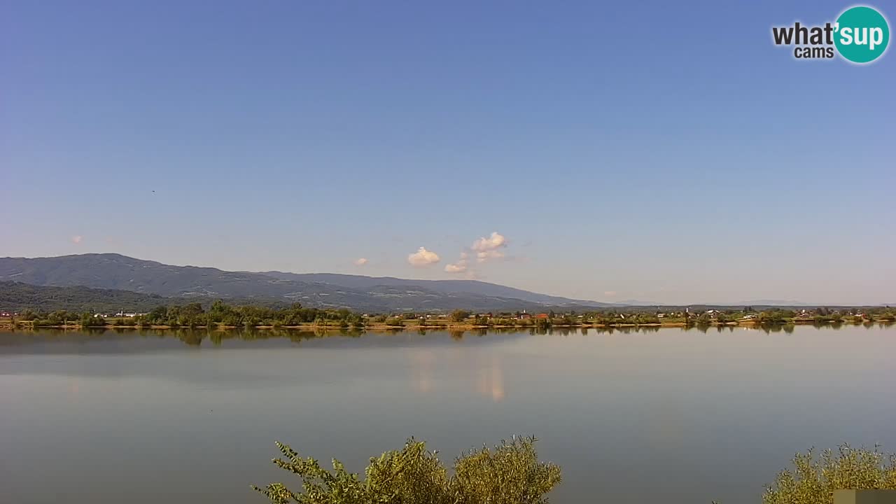 Spletna kamera v živo Brežiško jezero na reki Savi – Slovenija