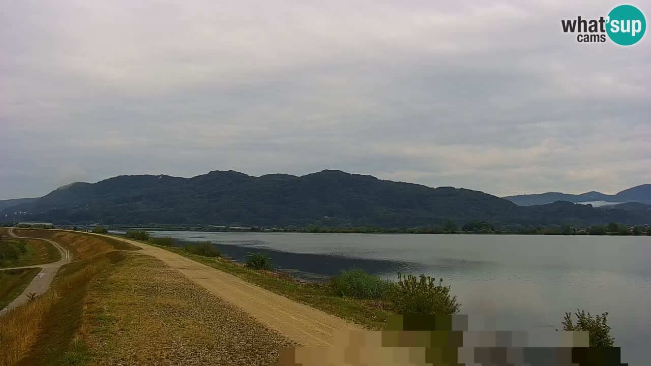 Live Webcam Brežice See am Fluss Sava – Slowenien