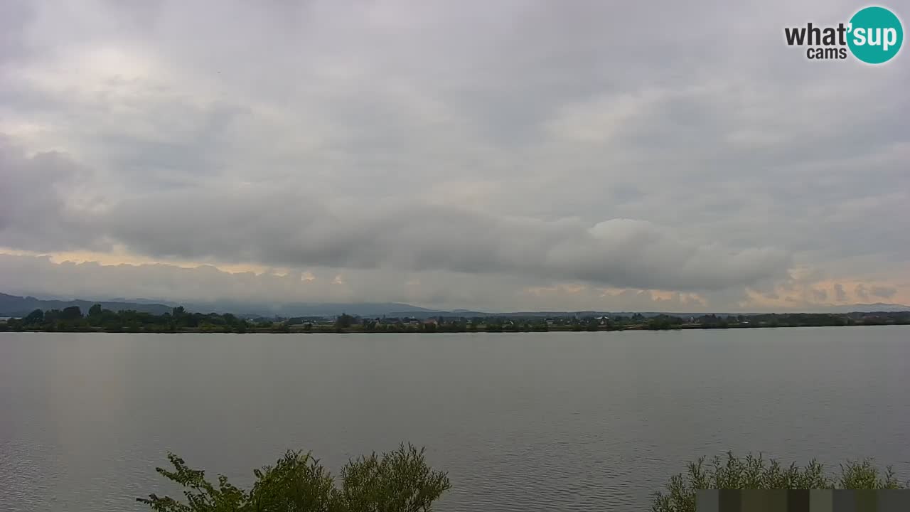 Web kamera uživo Jezero Brežice na rijeci Savi – Slovenija