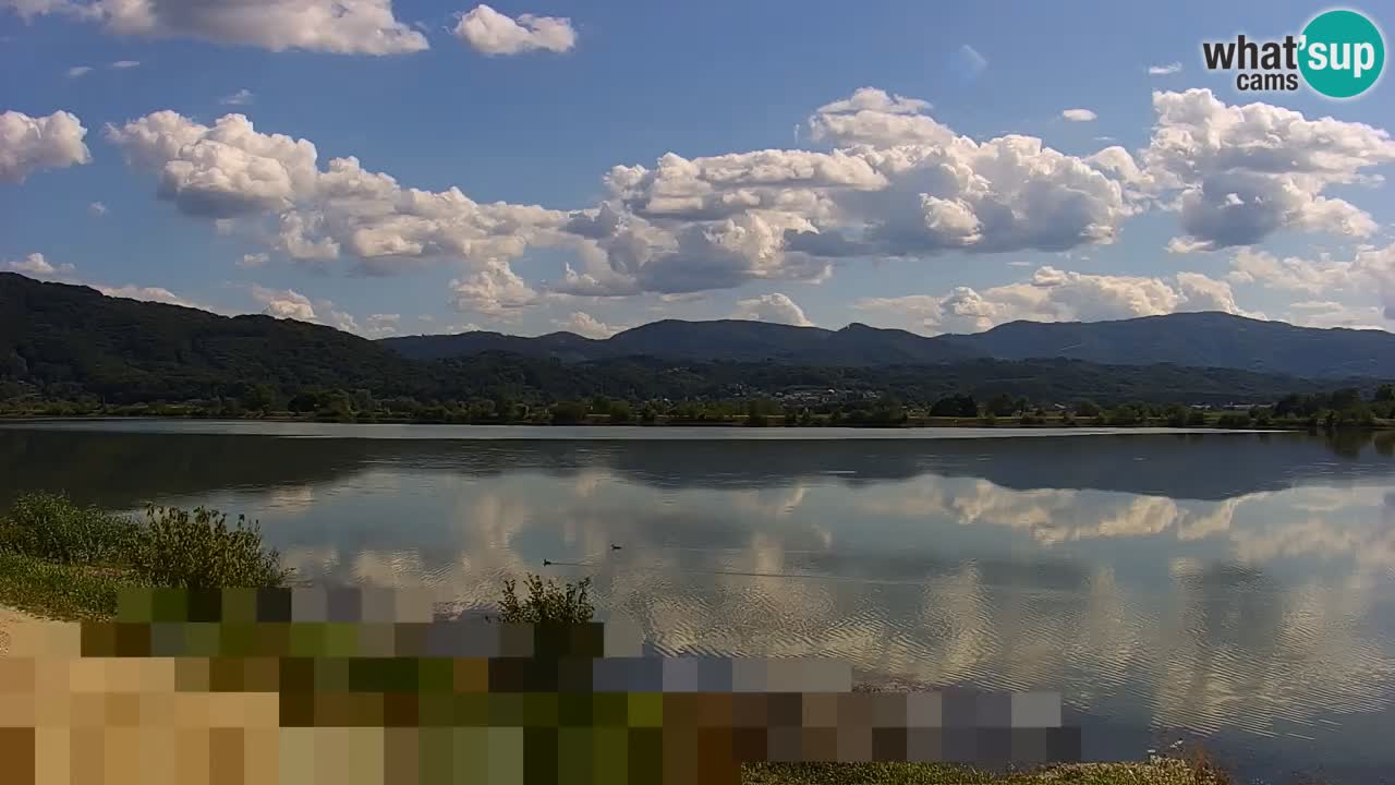 Live Webcam Brežice lake on Sava river – Slovenia