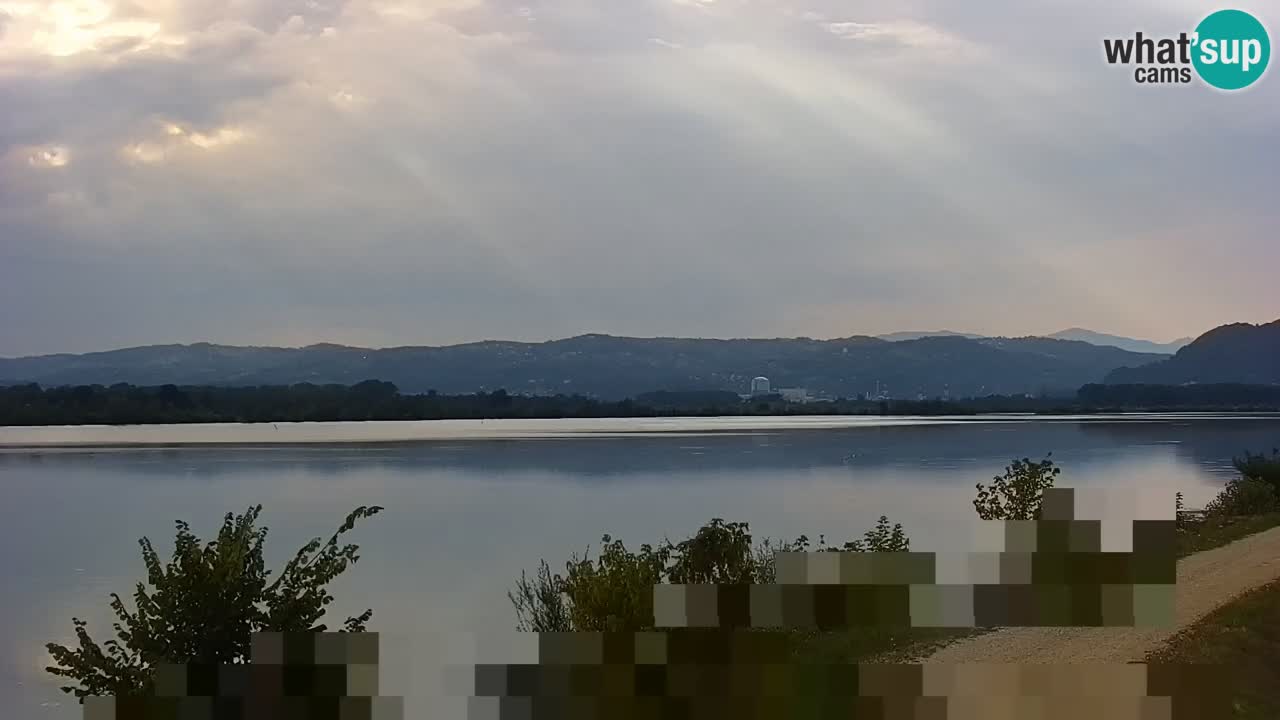 Live Webcam Brežice lake on Sava river – Slovenia