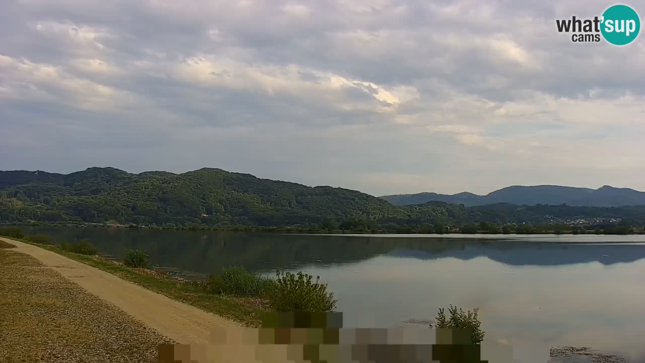 Live Webcam Lago di Brežice sul fiume Sava – Slovenia