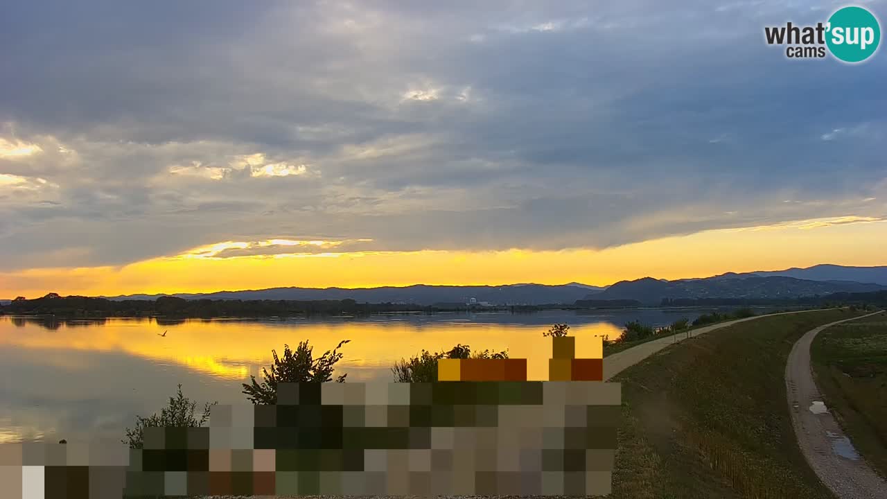 Live Webcam Brežice See am Fluss Sava – Slowenien