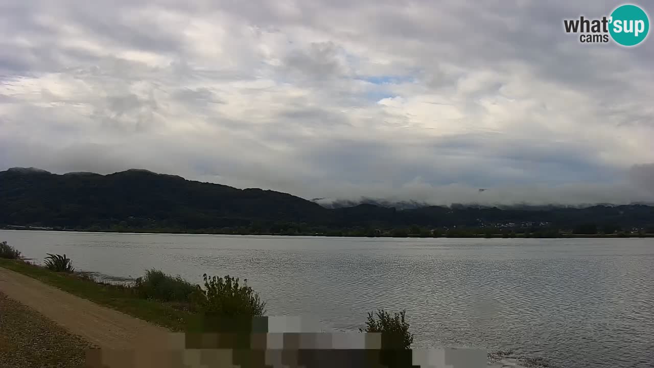Live Webcam Brežice lake on Sava river – Slovenia