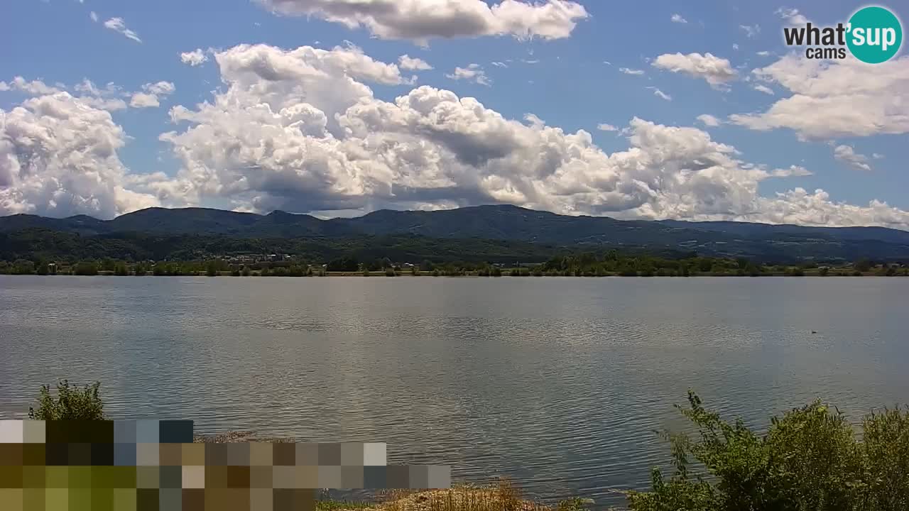 Live Webcam Lago di Brežice sul fiume Sava – Slovenia