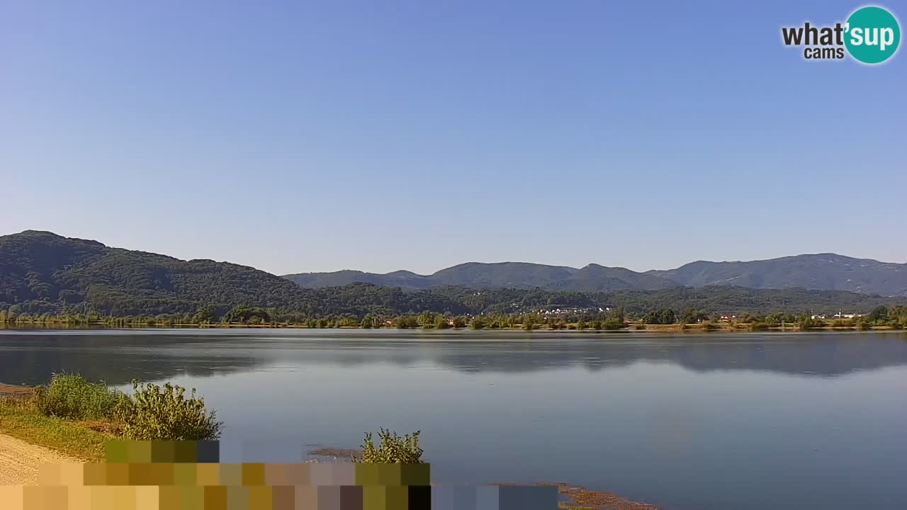 Live Webcam Brežice lake on Sava river – Slovenia