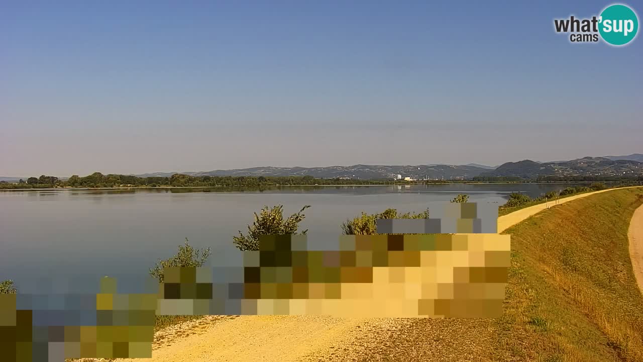 Spletna kamera v živo Brežiško jezero na reki Savi – Slovenija