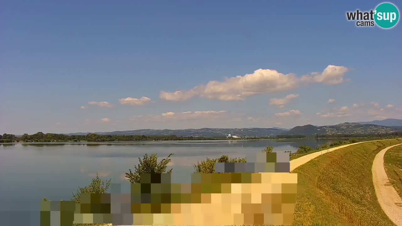 Live Webcam Lago di Brežice sul fiume Sava – Slovenia