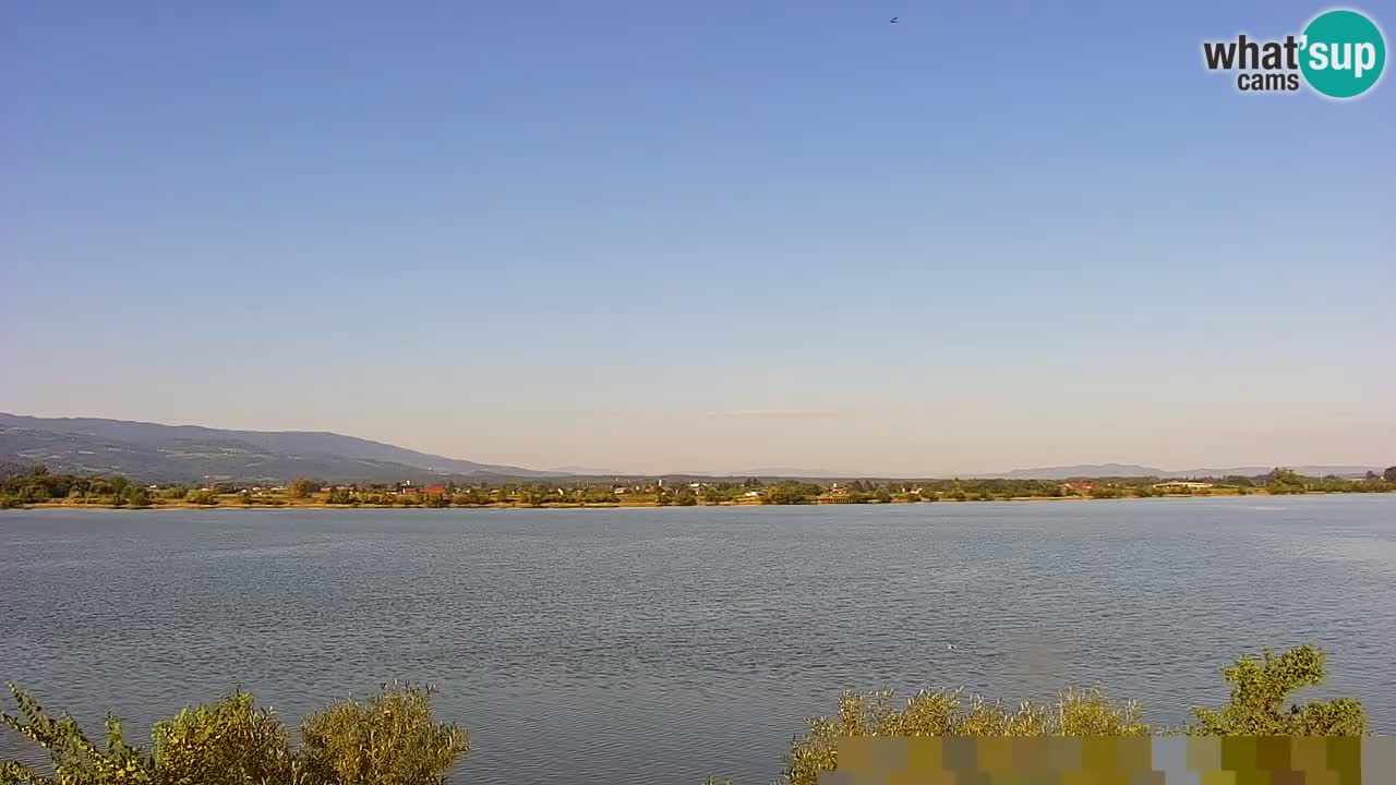 Live Webcam Lago di Brežice sul fiume Sava – Slovenia