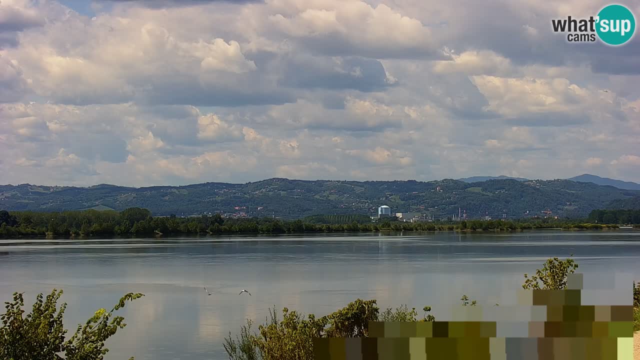 Spletna kamera v živo Brežiško jezero na reki Savi – Slovenija