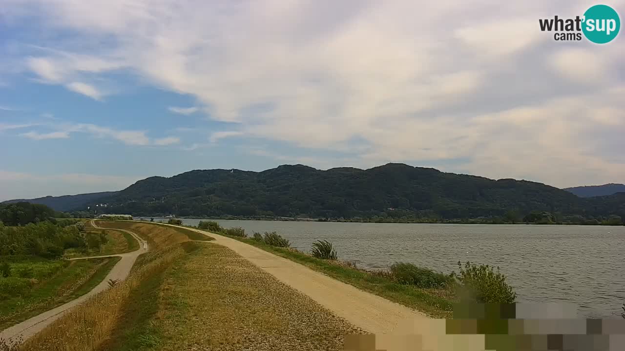Live Webcam Brežice See am Fluss Sava – Slowenien