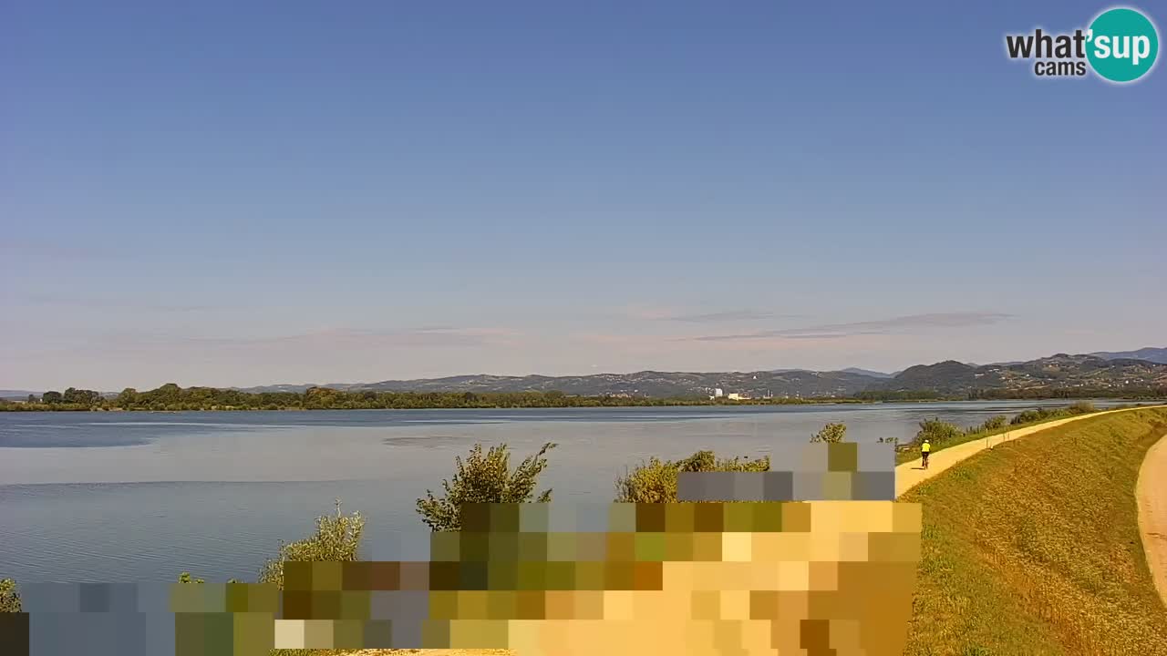 Live Webcam Brežice lake on Sava river – Slovenia