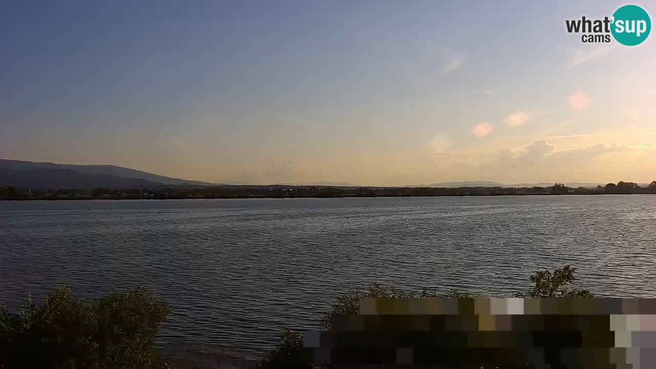 Spletna kamera v živo Brežiško jezero na reki Savi – Slovenija
