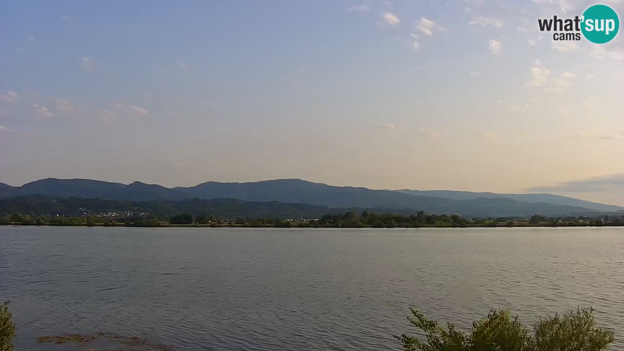 Live Webcam Brežice lake on Sava river – Slovenia